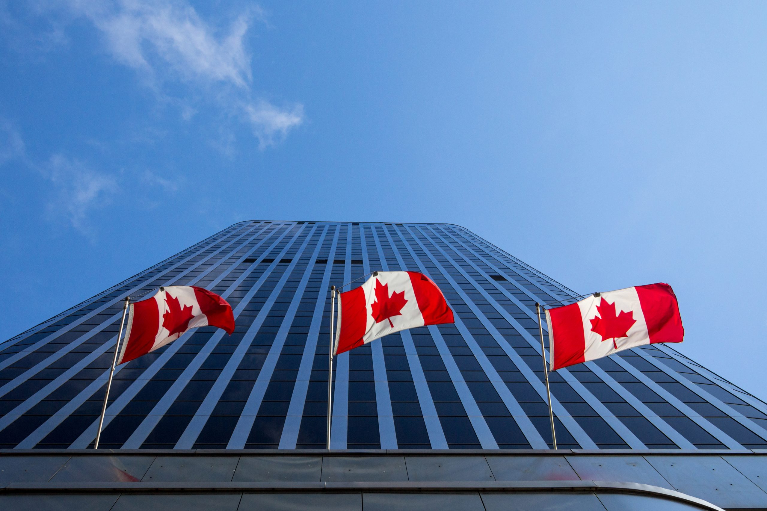 The Importance of Canada’s Institutional Investors to the Venture Capital Asset Class